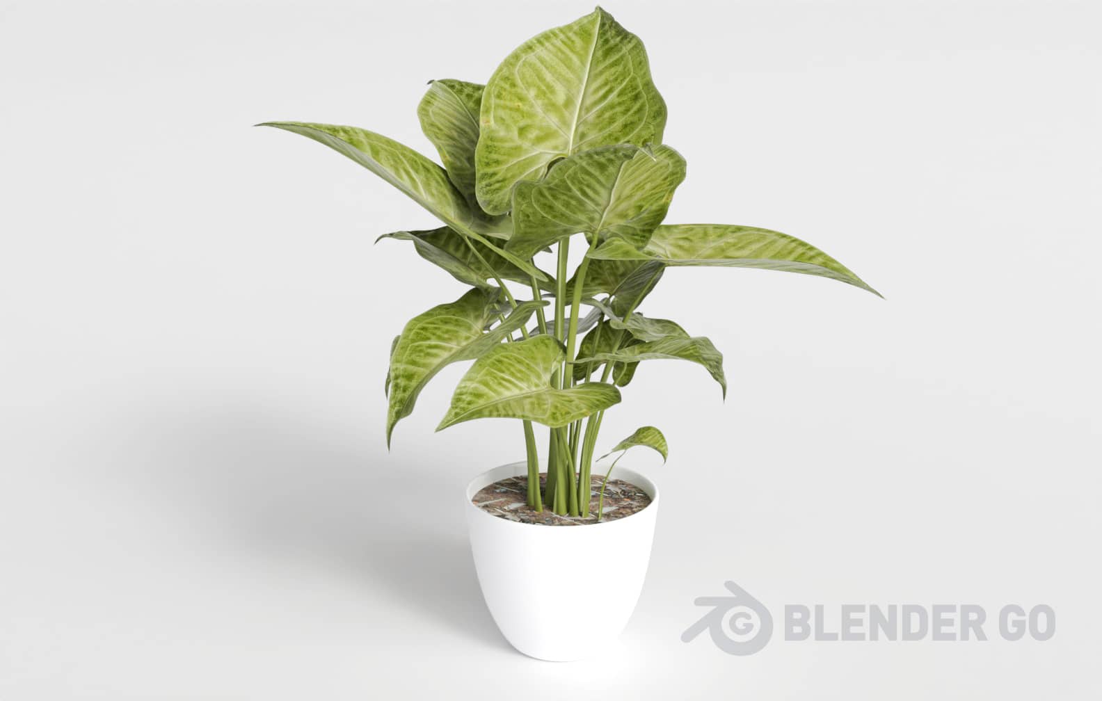花叶万年青植物盆景3D模型（OBJ,FBX,MAX） - 云瑞设计